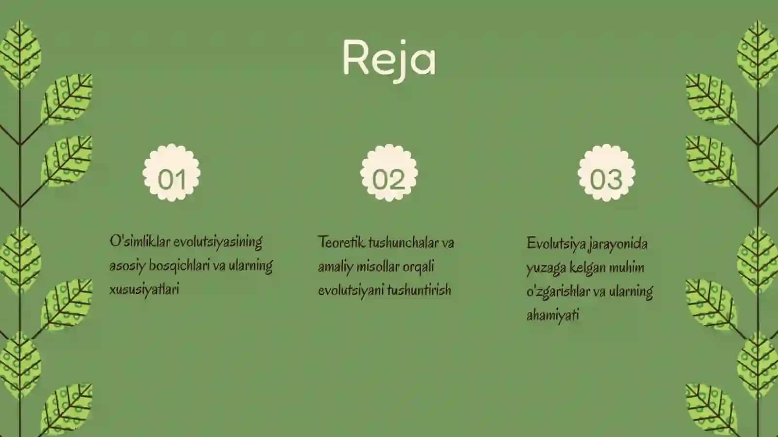 O'simliklar evolutsiyasining asosiy bosqichlari 2
