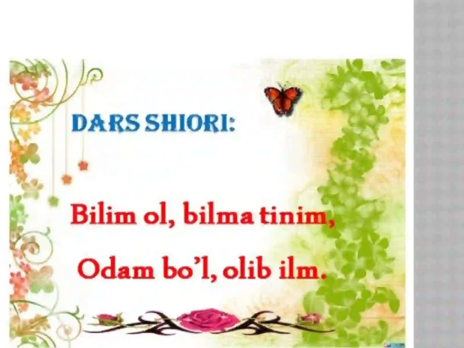 Ovqat hazm qilish va uning ahamiyati 2