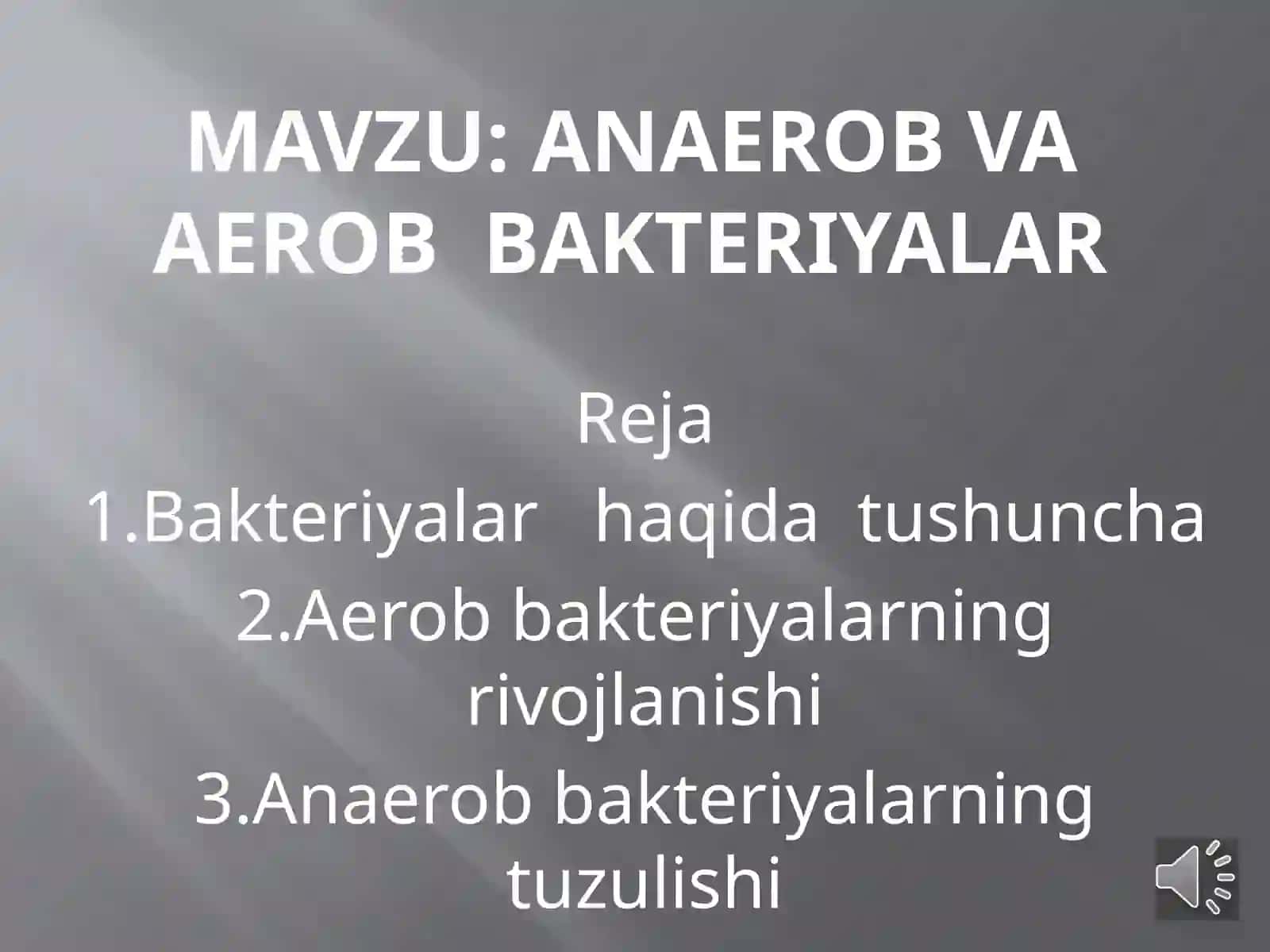 Anaerob va aerob bakteriyalar 2