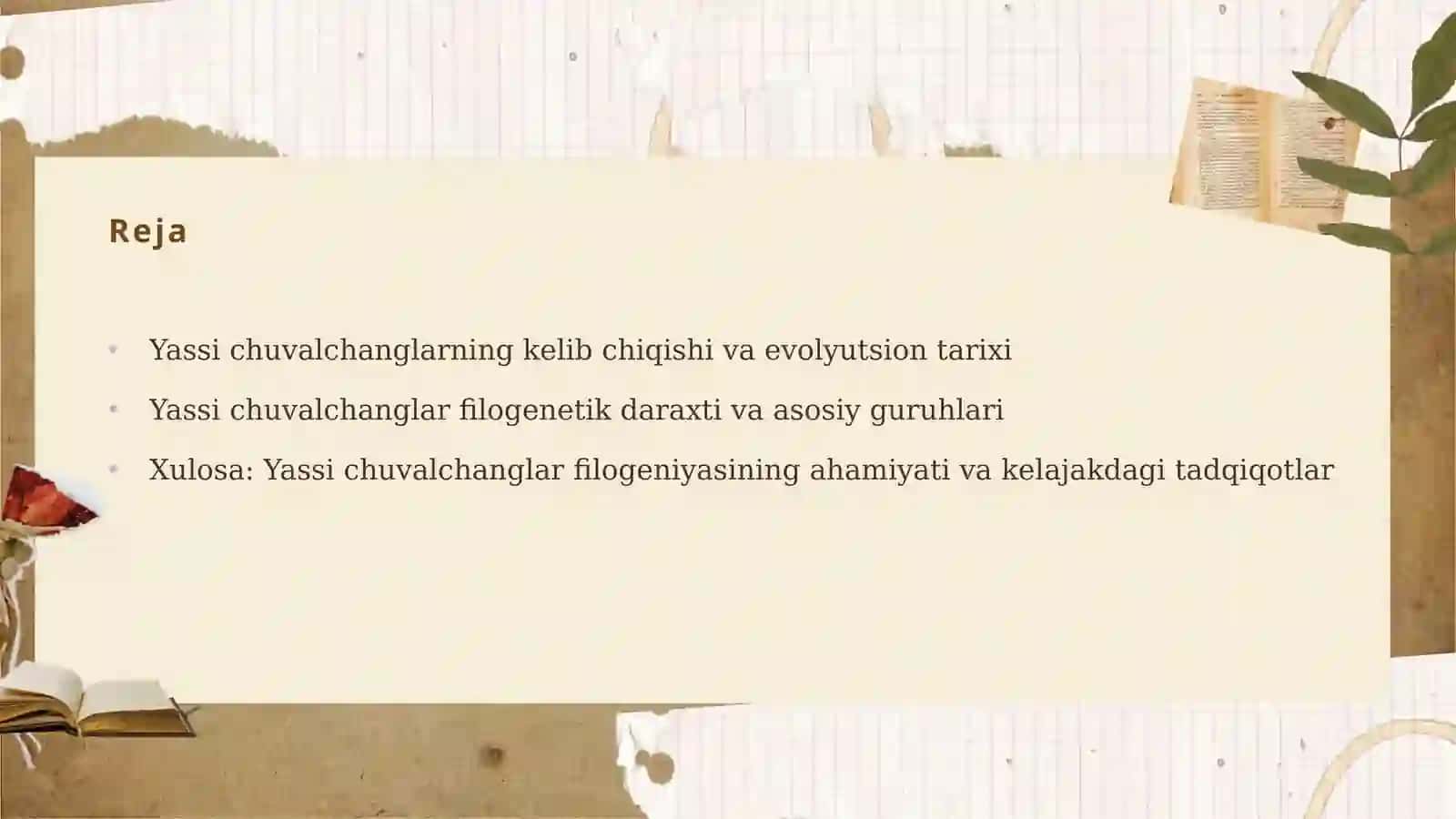 Yassi Chuvalchanglar Filogenezi 2