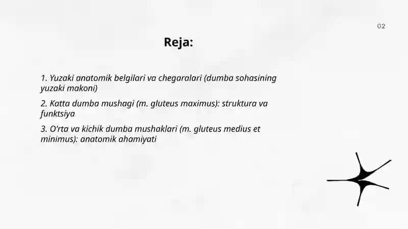 Dumba sohasining klinik anatomiyasi 2