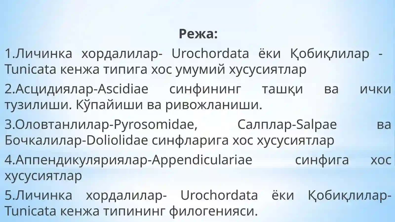 Хордалилар -Chordata типи 2