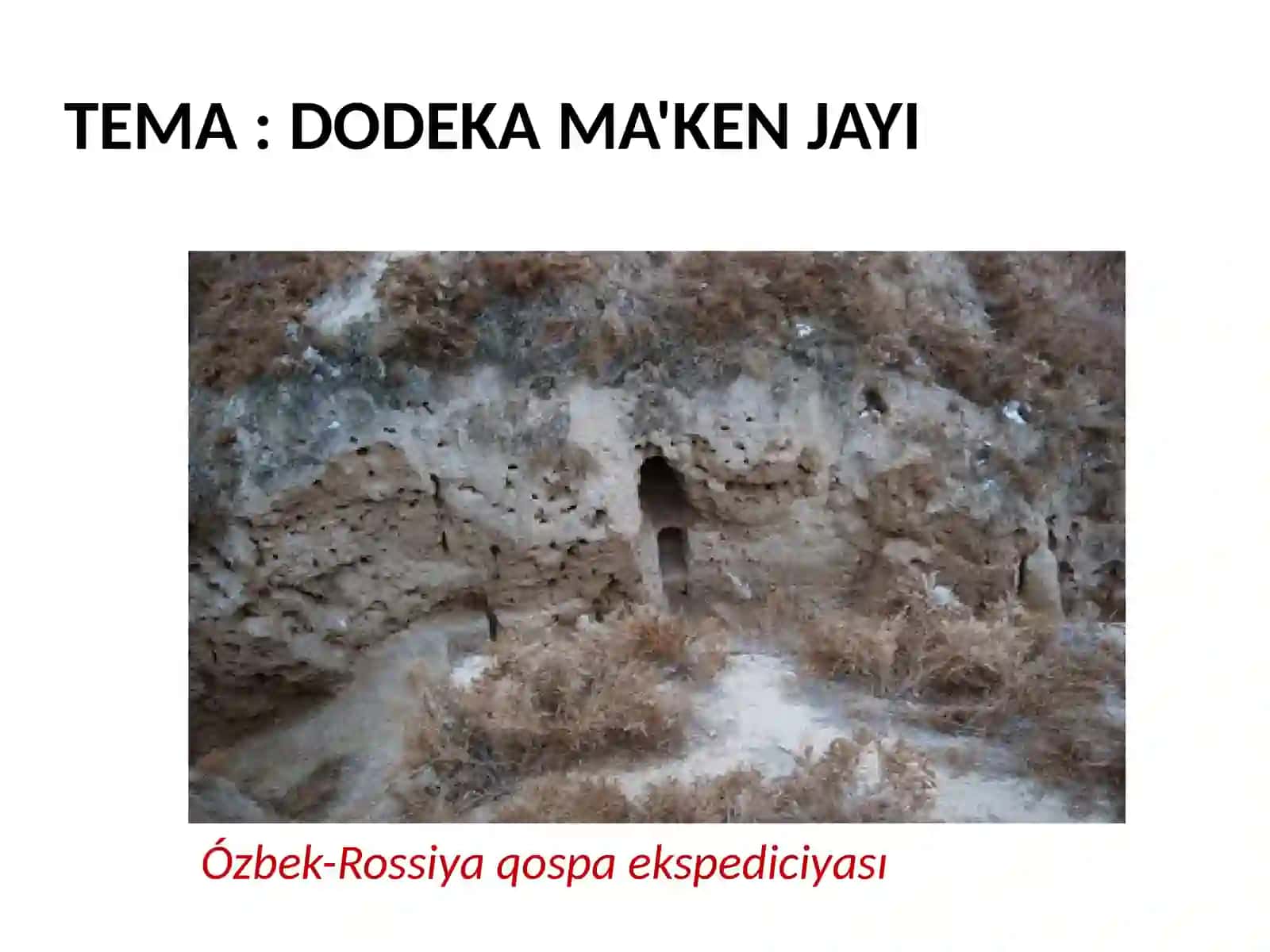 Dala Arxeologiyasi paninen islegen prezentatsiyasi 2