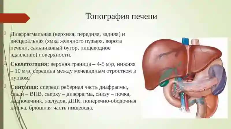 Резекции печени 2