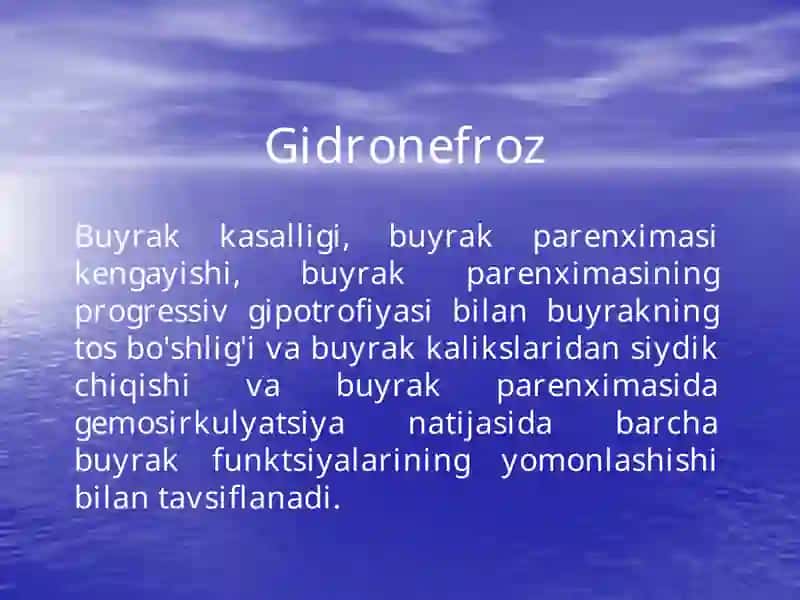 Gidronefroz 2