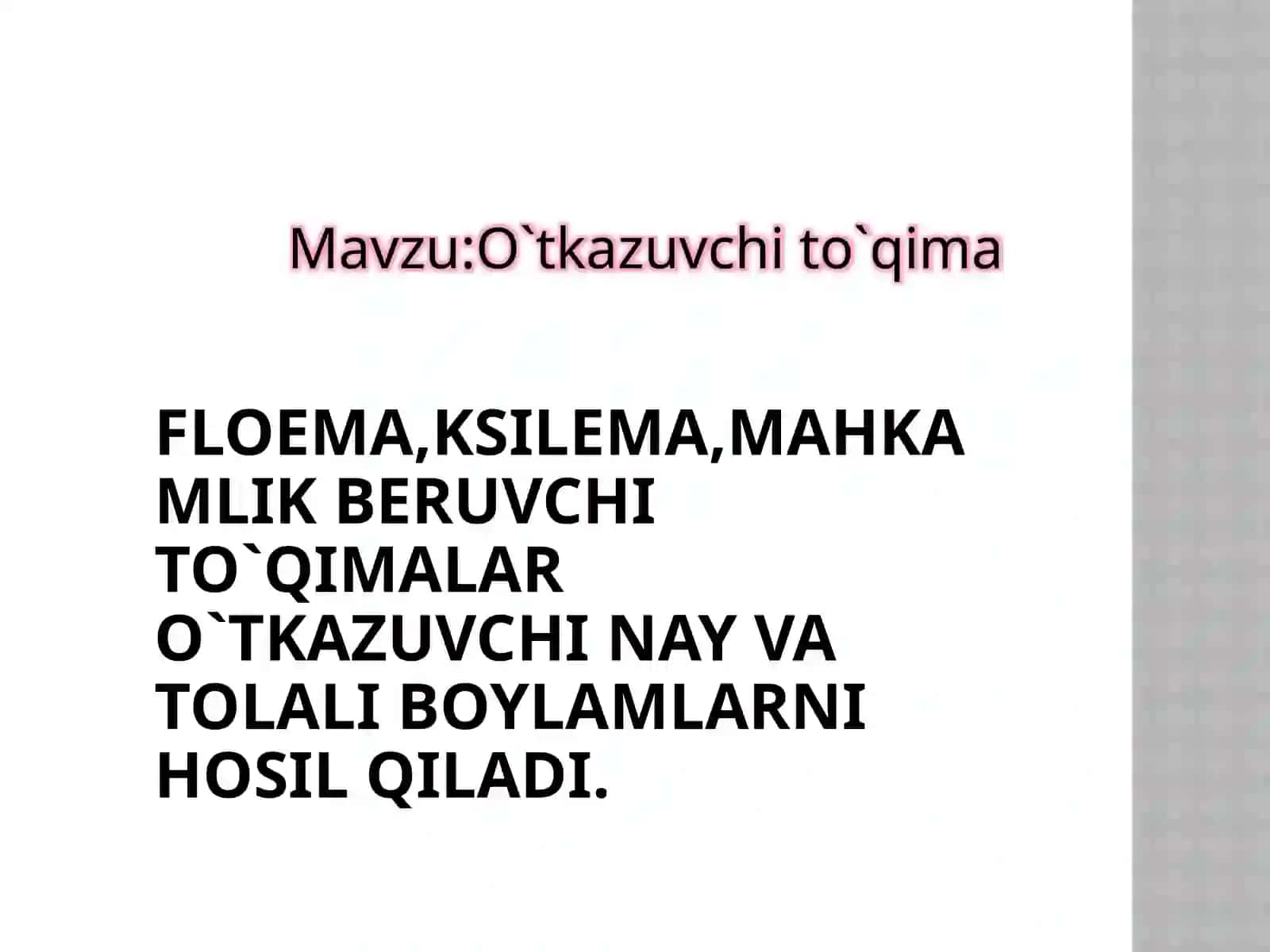 O`simlik anatomiyasi va morfologiyasi fanidan taqdimot 2