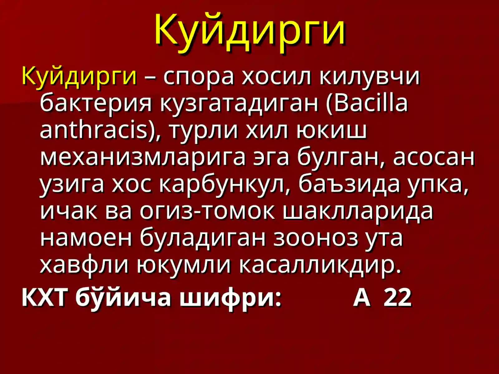 Вилоят юкумли касалликлар шифохонаси 2