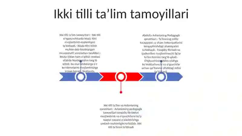 Ikki tilli ta'lim tamoyillari 2