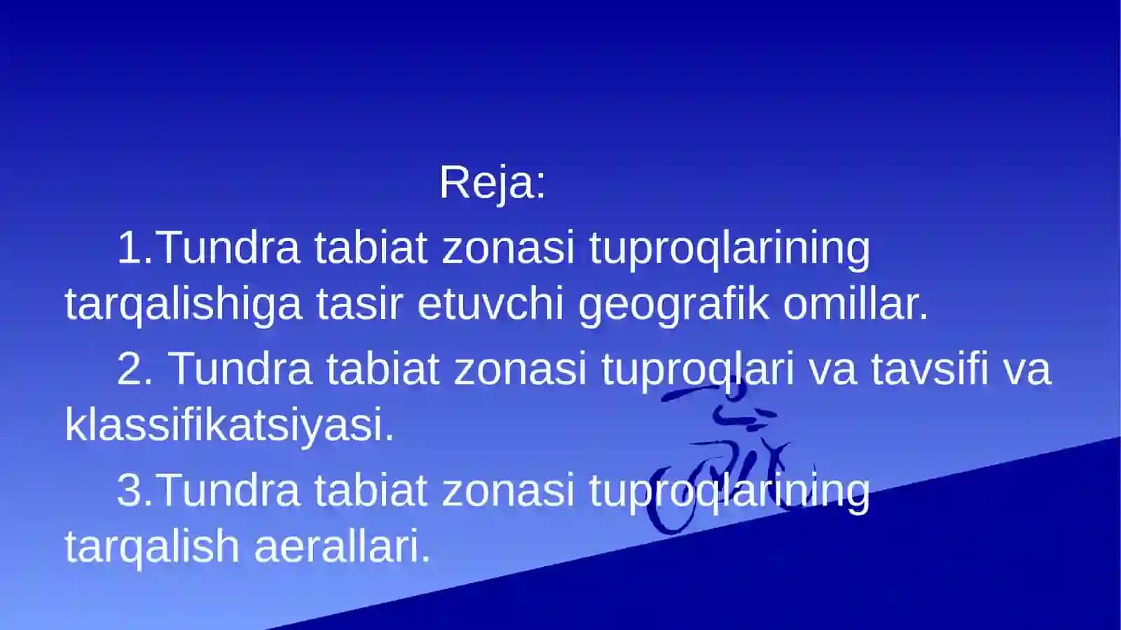 Tundra tabiat zonasi tuproqlari1 2