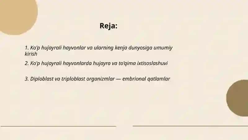 Ko'p hujayrali hayvonlar va ularning kenja dunyosiga umumiy kirish 2