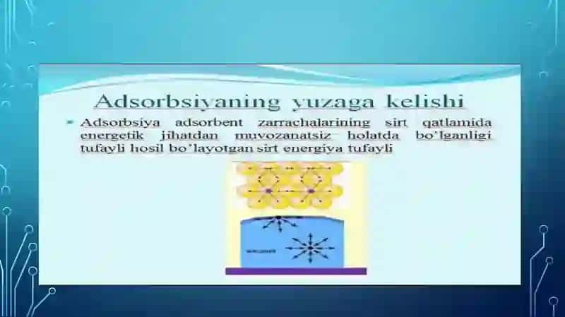ORGANIZMNING HAYOT FAOLIYATIDA VA DAVOLASH USULLARIDA ADSORBSIY JARAYONING AHAMIYATI 2