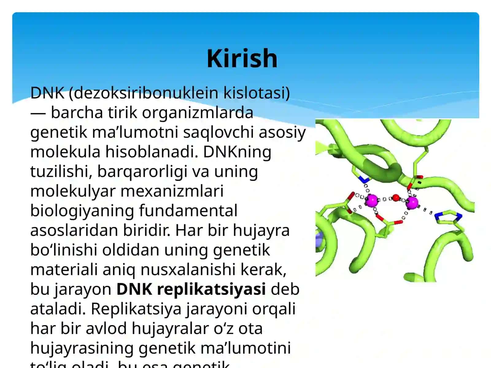 Dnk replikatsiyasi va rekonbinatsiyasini molekulyar mexanizmlari 2