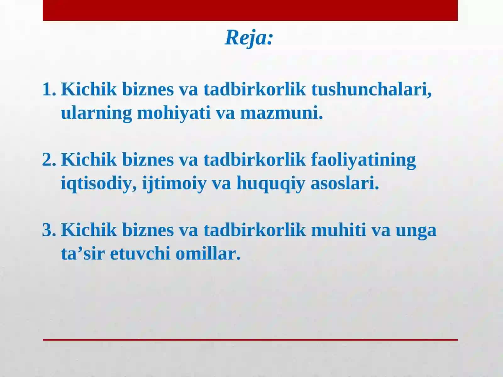 Kichik biznes va tadbirkorlik tushunchalari,ularning mohiyati va mazmuni 2