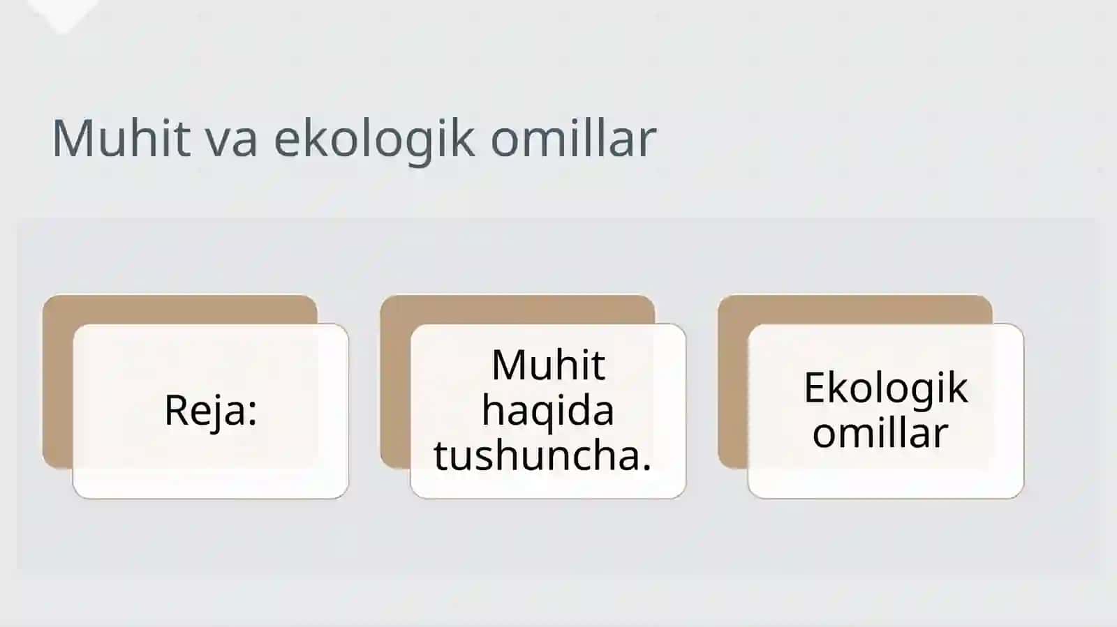 Atrofmuhitmuhofazasi 2