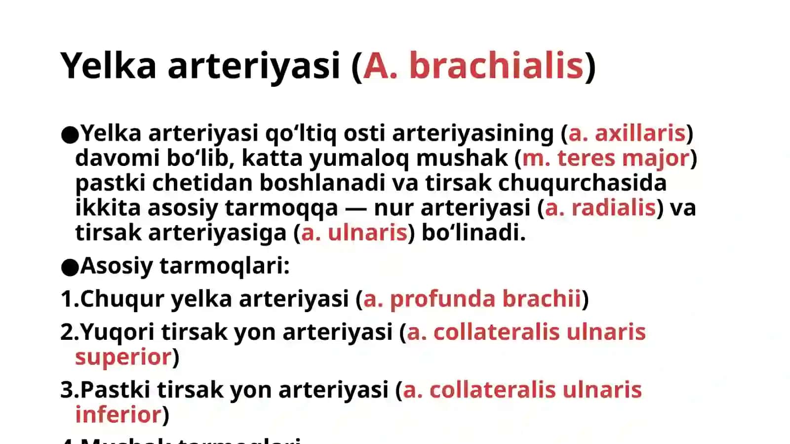 Yelka.bilak. qo'l kafti arteriyalari MSKTda anatomik xususiyatlari. 2