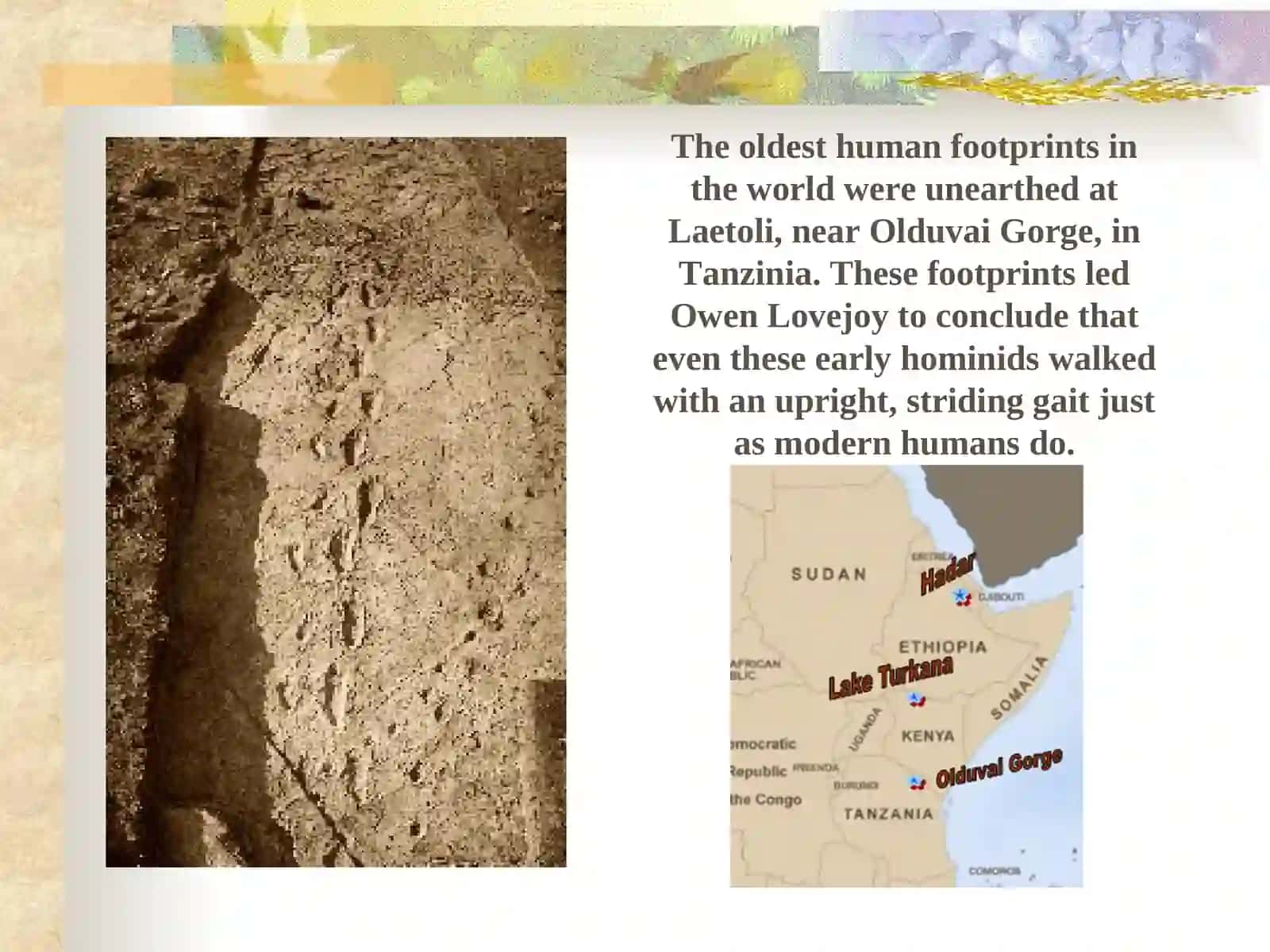 Paleolithic - Neolithic 2