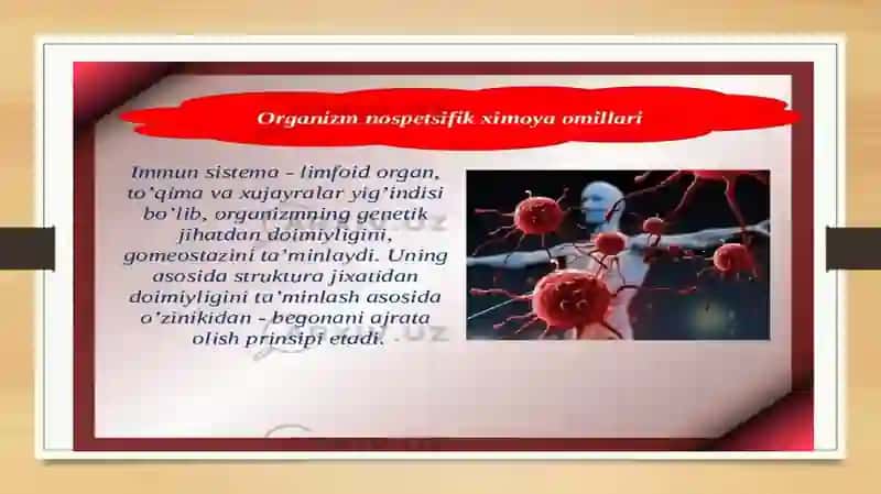 Immunitet tizimining shakllanishi va yoshga bogʻliq oʻzgarishlari 2