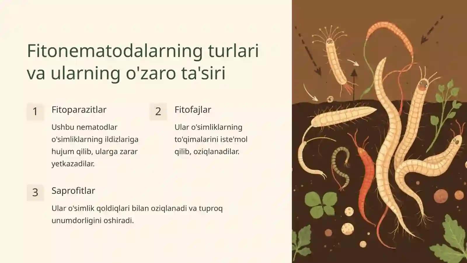Fitonematodalar o'rtasidagi simbiotik va antogonistik munosabatlar 2