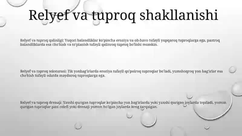 Tuproq Hosil BoʻLishida Relyefning Ahamiyati 2