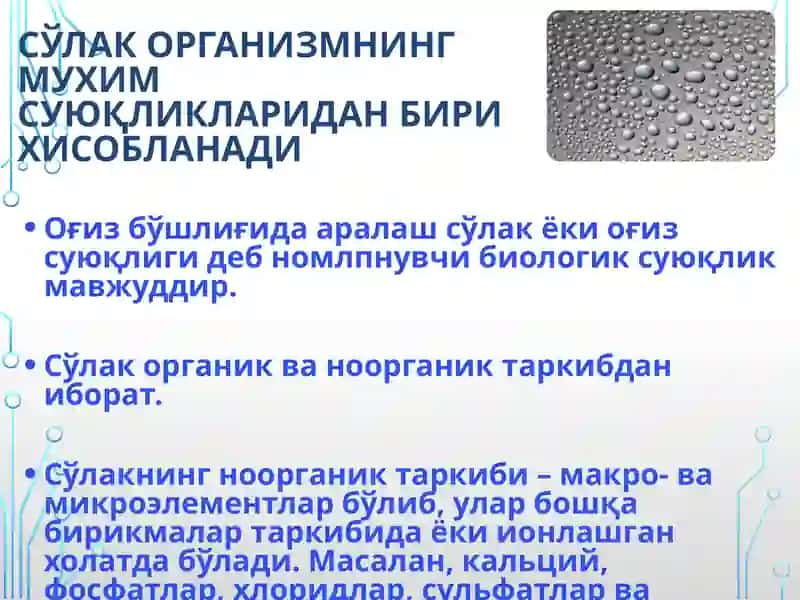 Сўлак биокимёси 2