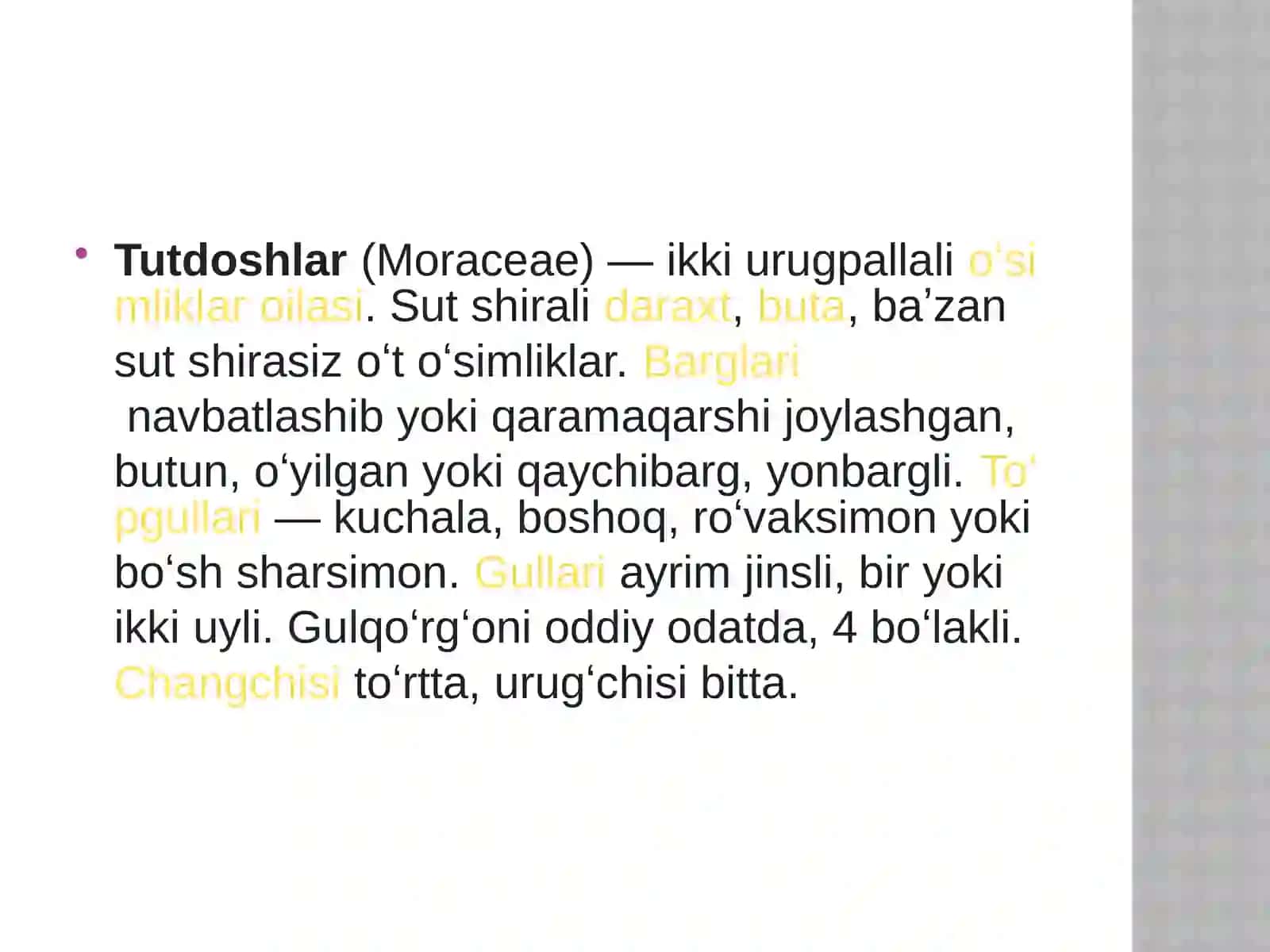 Tutdoshlar (Moraceae) yağı 2