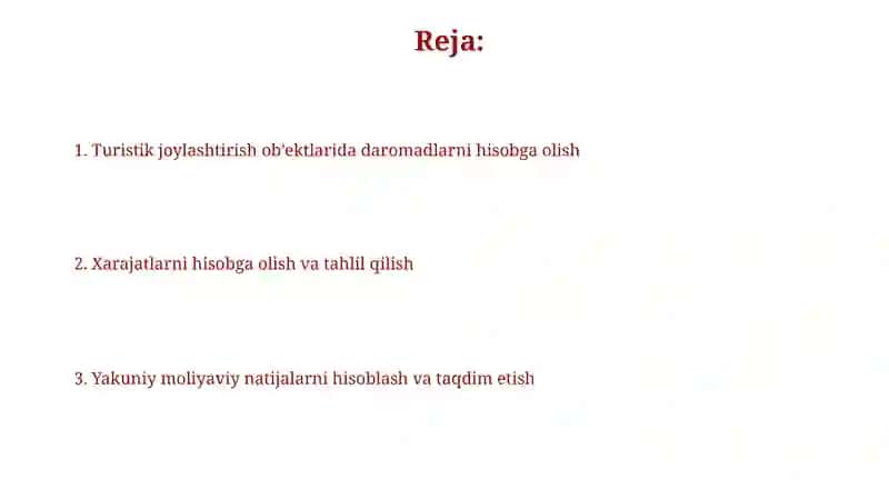 Turistik joylashtirish ob'ektlarida daromadlarni hisobga olish 2