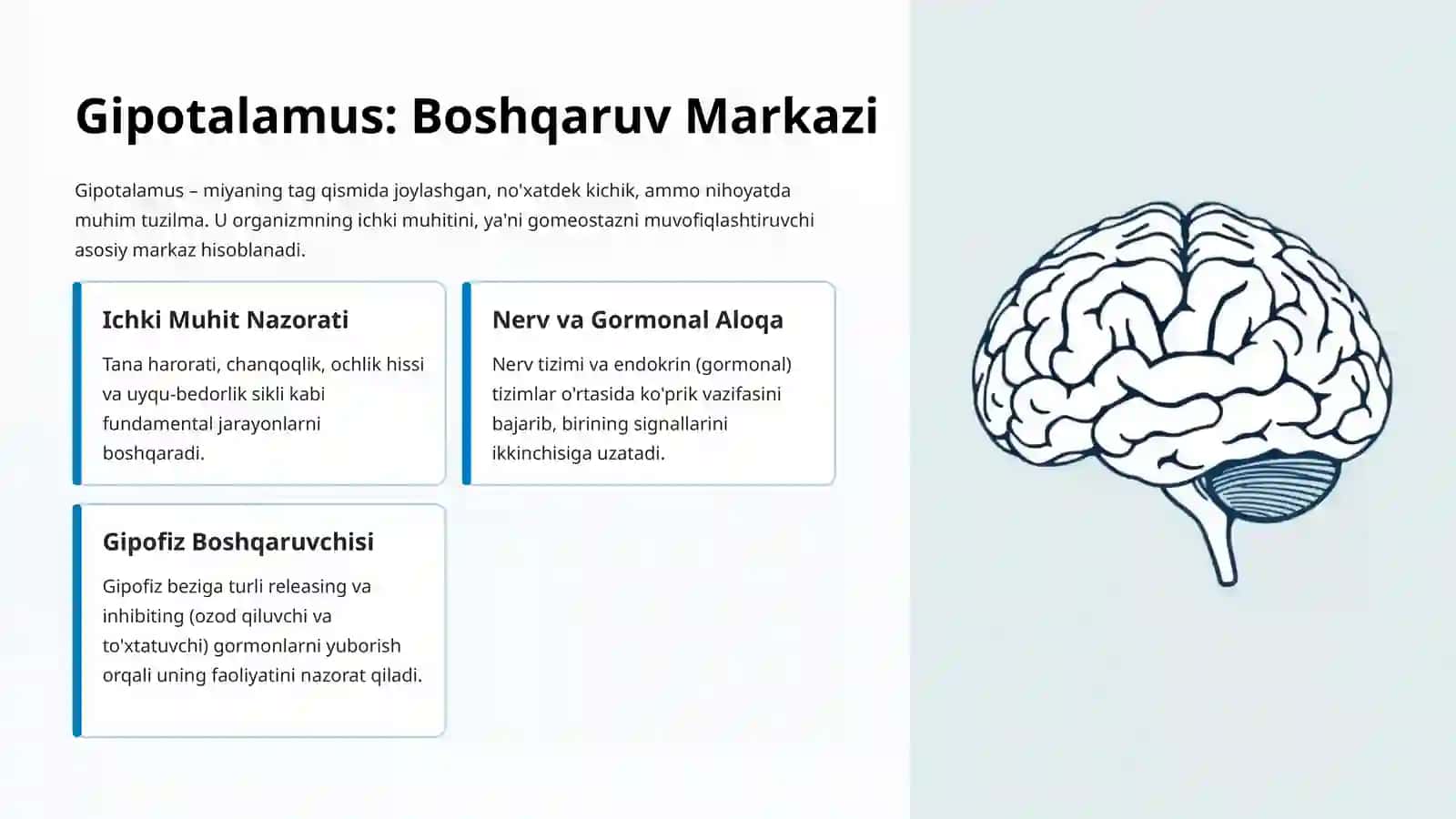Organizmda Gipotalamus va Gipofiz Boshqaruvi 2