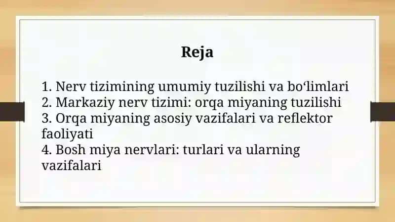 Nerv Tizimi: Orqa Miyan 2