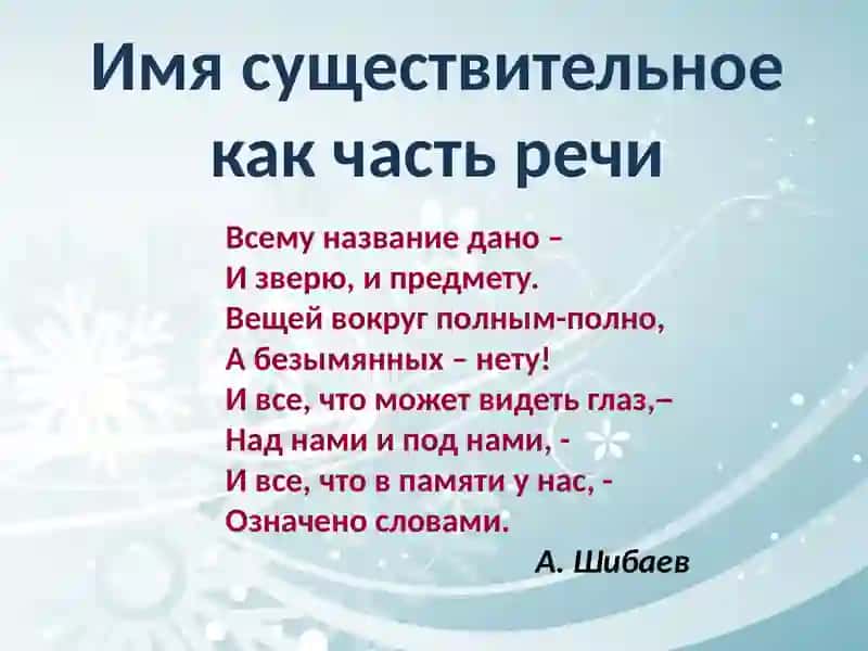 Имя существительное как часть речи 2