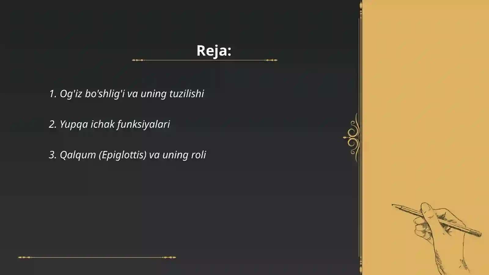 Ovqat hazm qilish anatomiyasi Nafas olish a’zolari 2