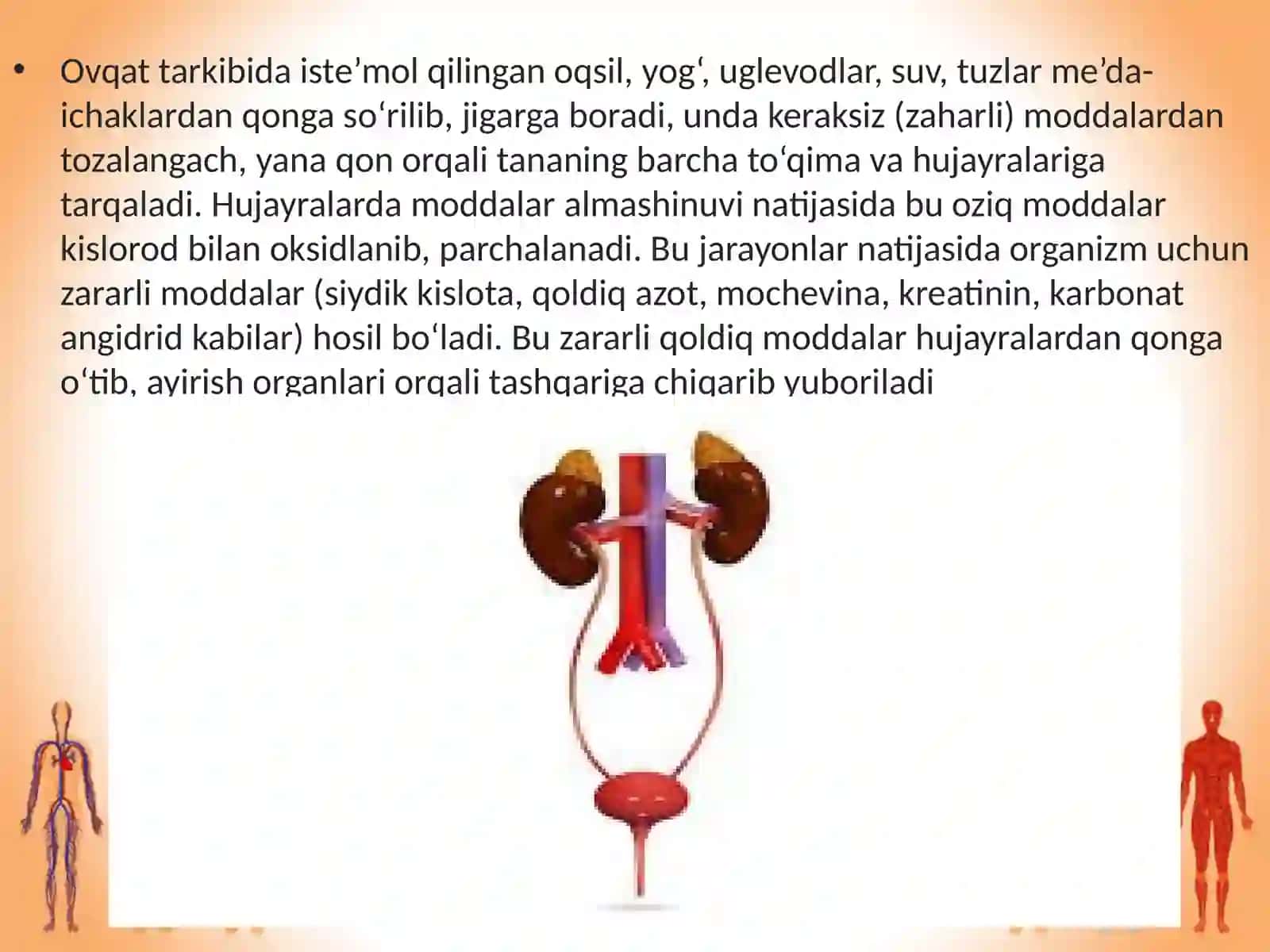 Ayirish sistemasining ahamiyati 2