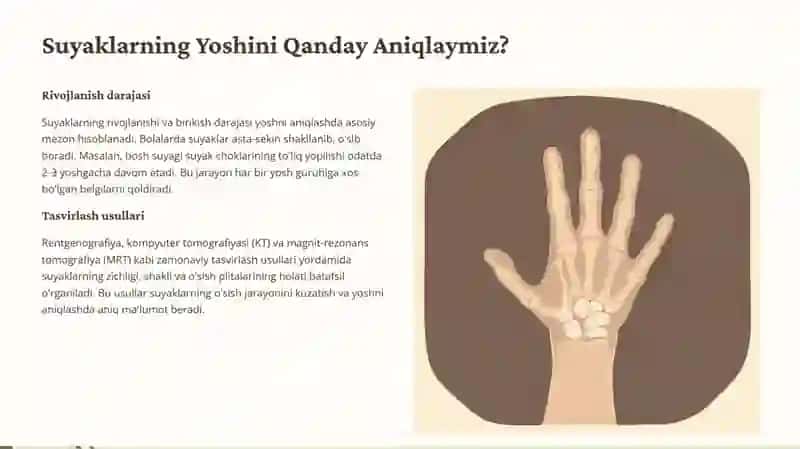 Suyaklarga qarab yoshni baholash usuli. Suyaklarda mineral tuzlarni to'planishi boshqarilishi: vitaminlar, to'g'ri ovqatlanish, endokrin bezlarni ahamiyati. 2