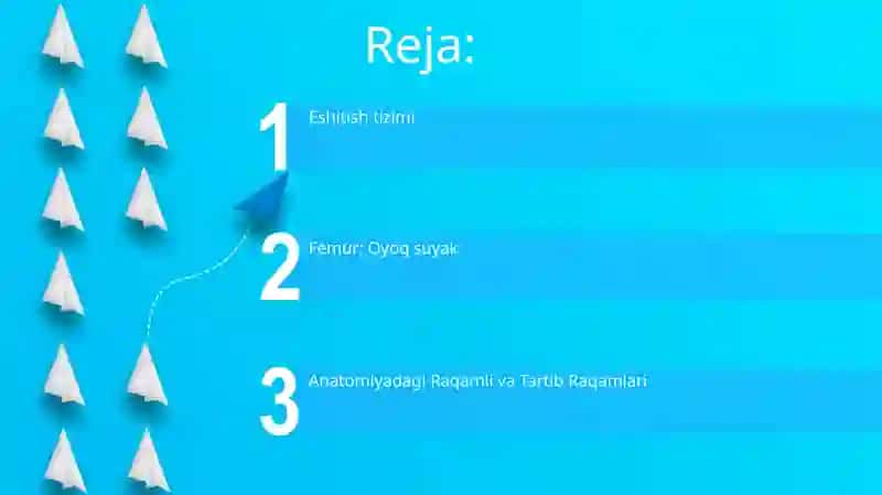 Son. Tartib va sanoq sonlar. Eshitish tizimi. Anatomik terminologiya bo'yicha. Ko'rish tizimi. Kollakvium 2