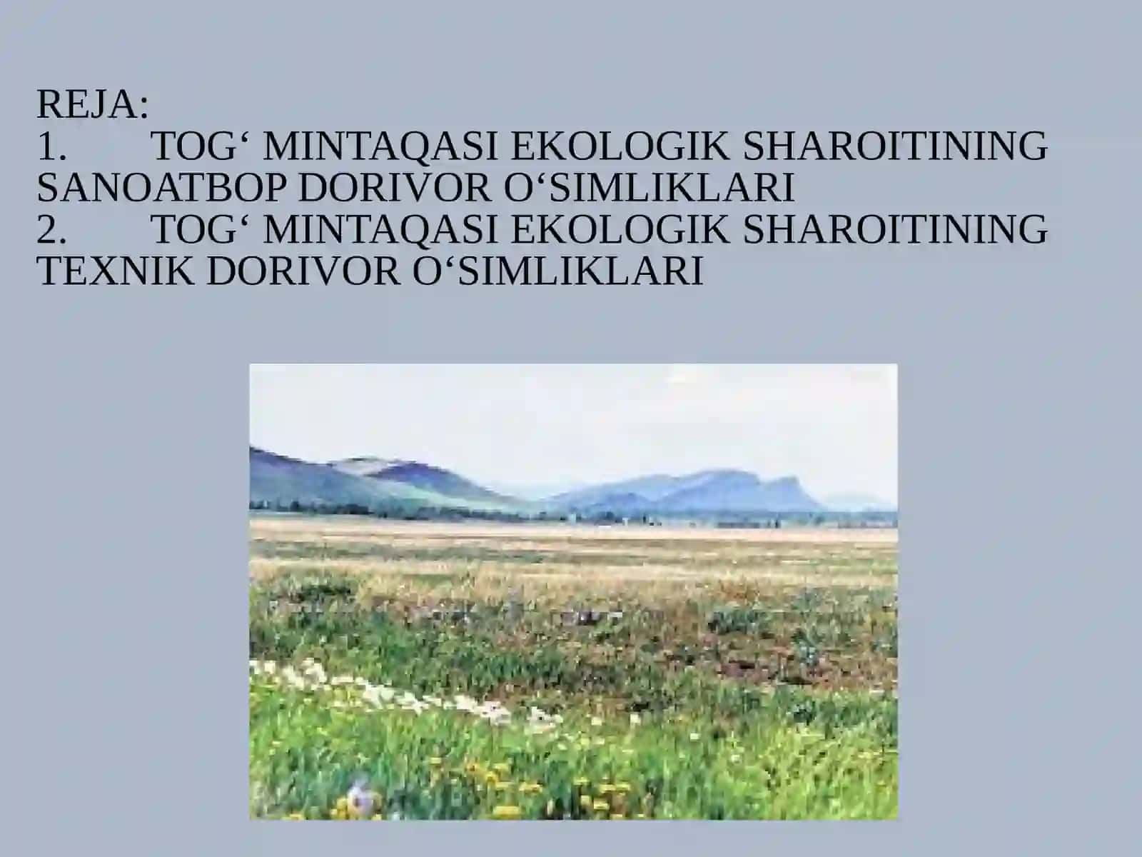 TOG‘ MINTAQASI EKOLOGIK SHAROITINING SANOATBOP VA TEXNIK DORIVOR O‘SIMLIKLARI 2