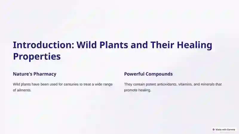 Wild Treatment: A Guide to Herbal Healing 2