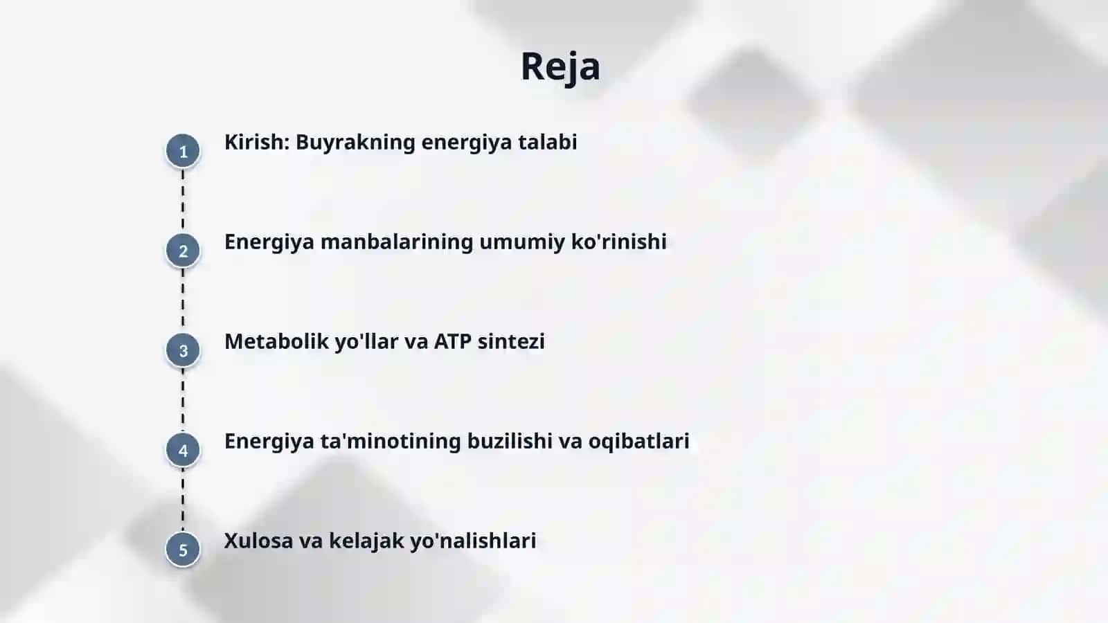 Buyrakni energiya bilan ta’minlanishining asosiy yo‘llari 2
