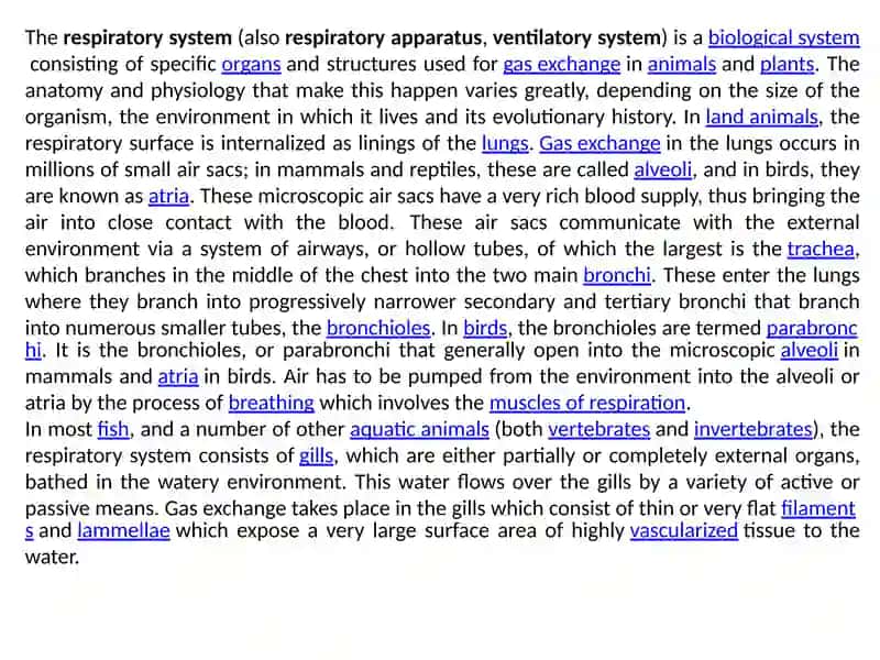Respiratory system 2