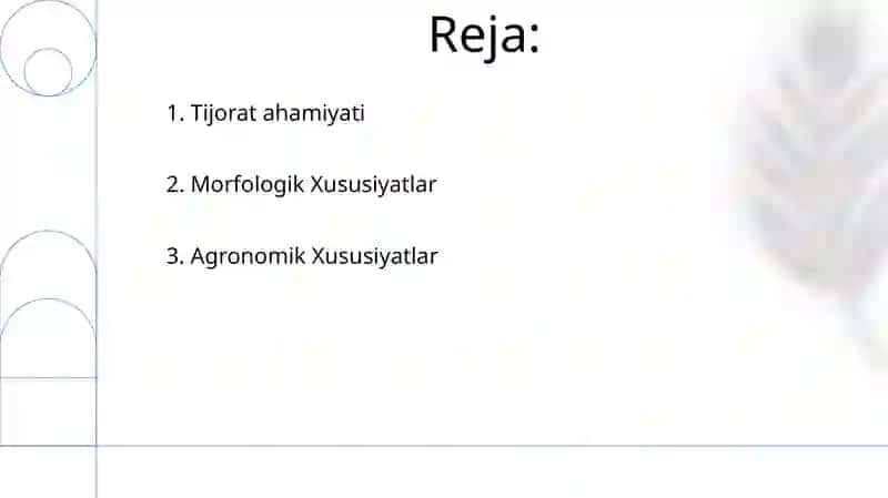Behini standartga kiritlgan navlarini xarakteristikam 2