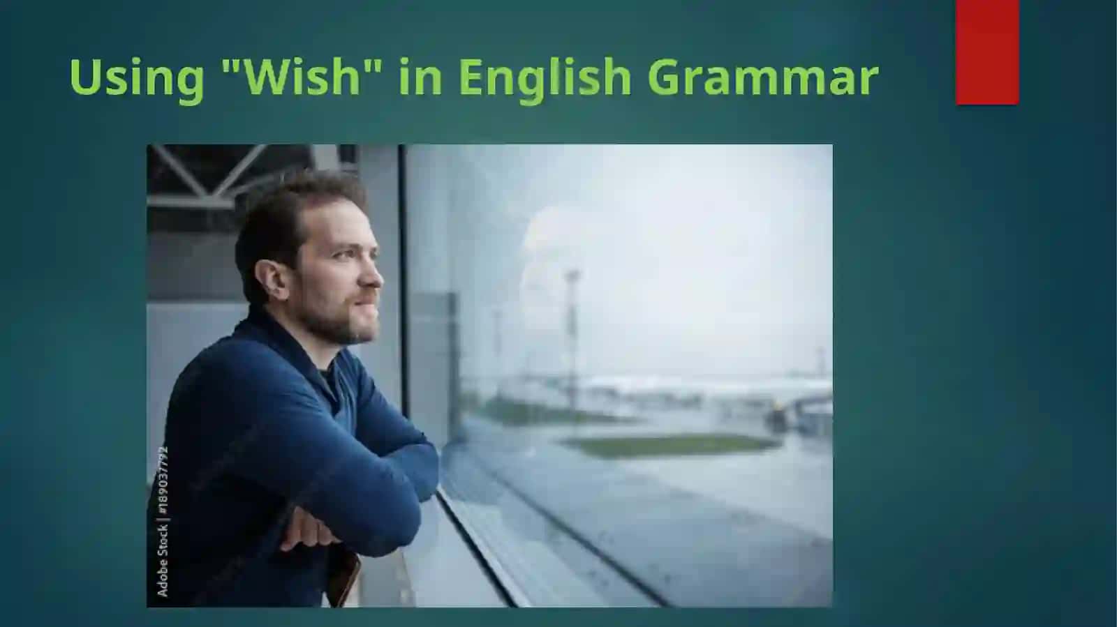Overview of "Wish" 2