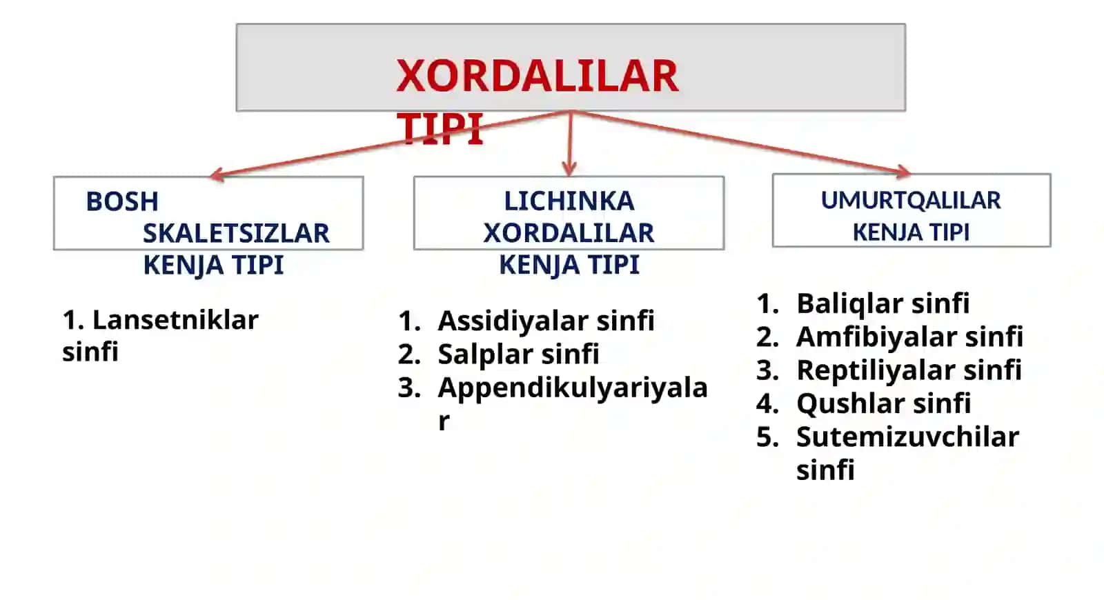 XORDALILAR TIPI 2