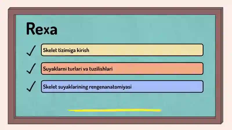 SKELT SUYAKLARNING RENGENANATOMIYASI 2