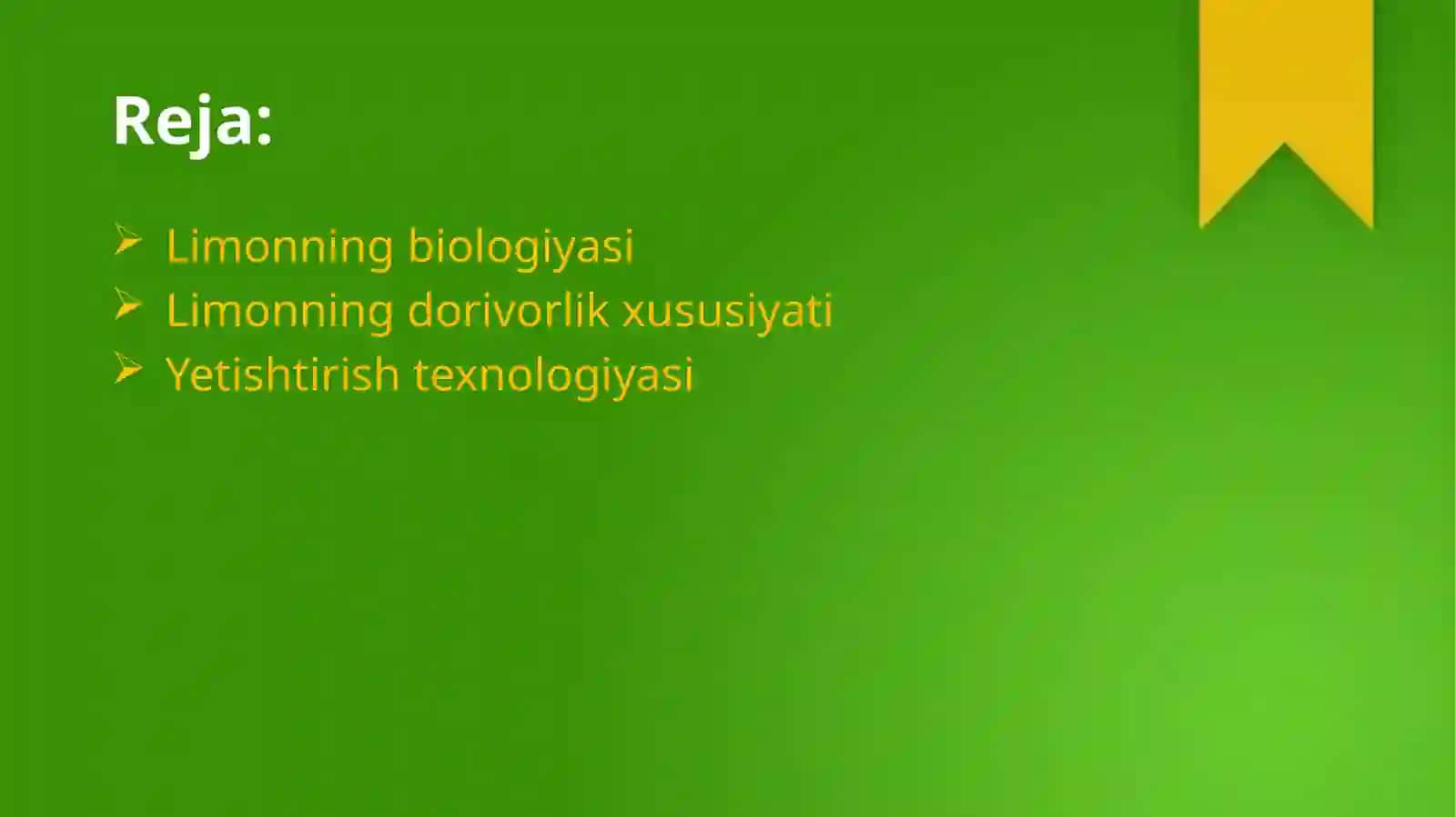 Limon oʻsimliging dorivorlik xusuiyatlari va yetishtirish texnologiyasi 2