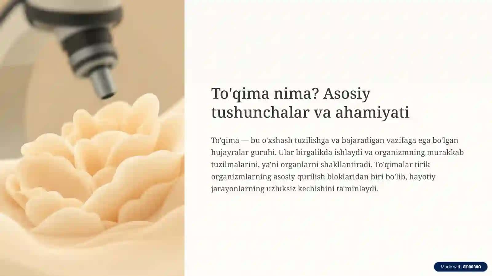 Epitelial to'qimalar: Himoya va sekretsiya vazifalari 2