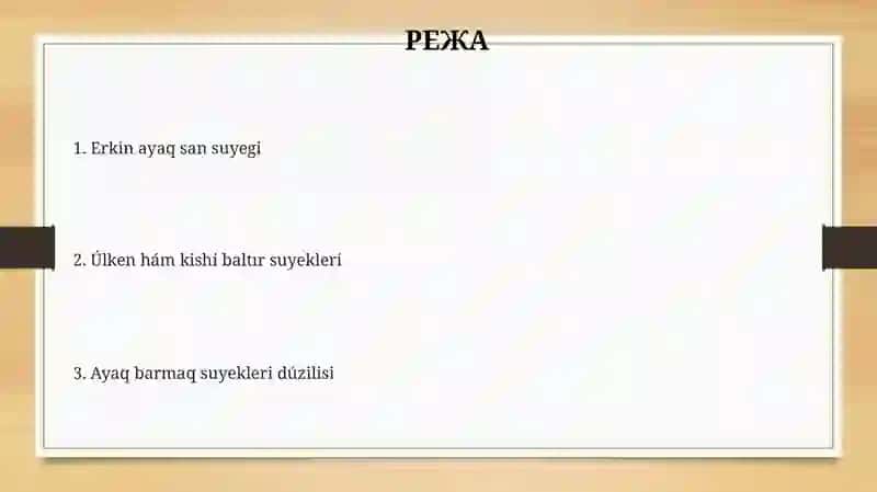 Biologiya fiziologiya 2