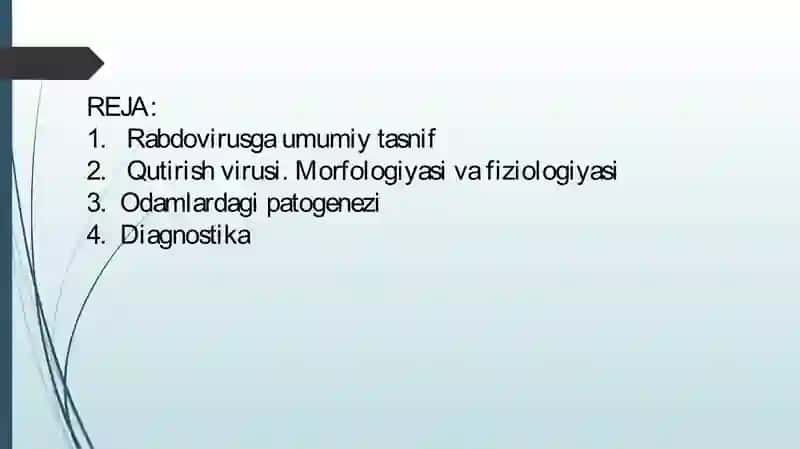 Neyrotropviruslar: rabdoviruslar xarakteristikasi va laborator tashxis 2