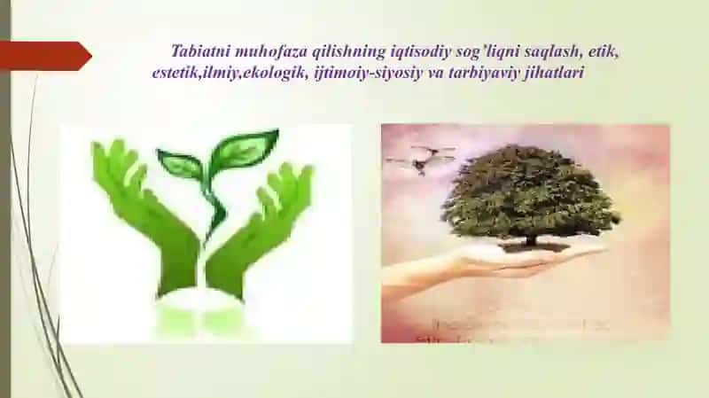 TABIATNI MUHOFAZA QILISH 2