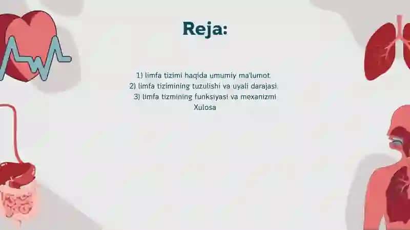 Limfa tizimining fizologiyasi 2