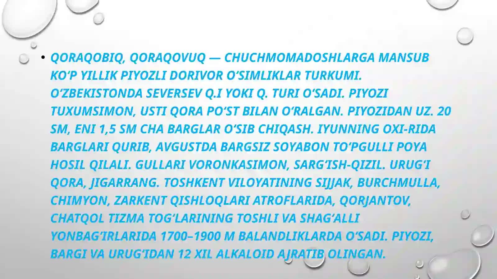 Tugunak piyozli (Zafaron,qoraqobiq,Sarvinjon) o’simliklar 2