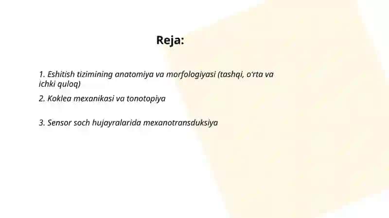 Eshituv va vestibulyar analizator fiziologiyasi 2