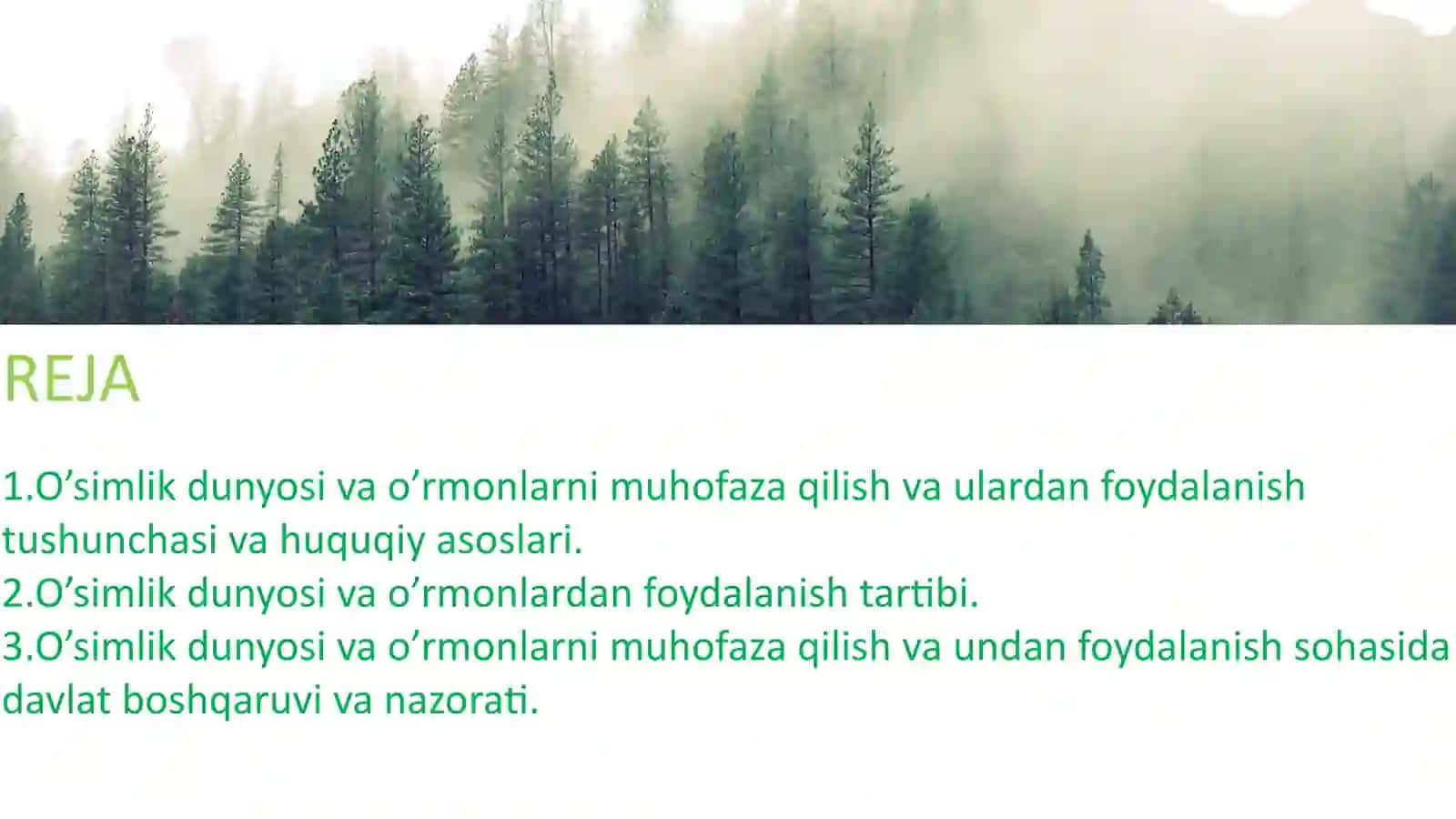 O’SIMLIK DUNYOSI VA O’RMONLARNI MUHOFAZA QILISH VA ULARDAN FOYDALANISHNI HUQUQIY TARTIBGA SOLISH 2